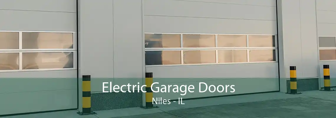 Electric Garage Doors Niles - IL