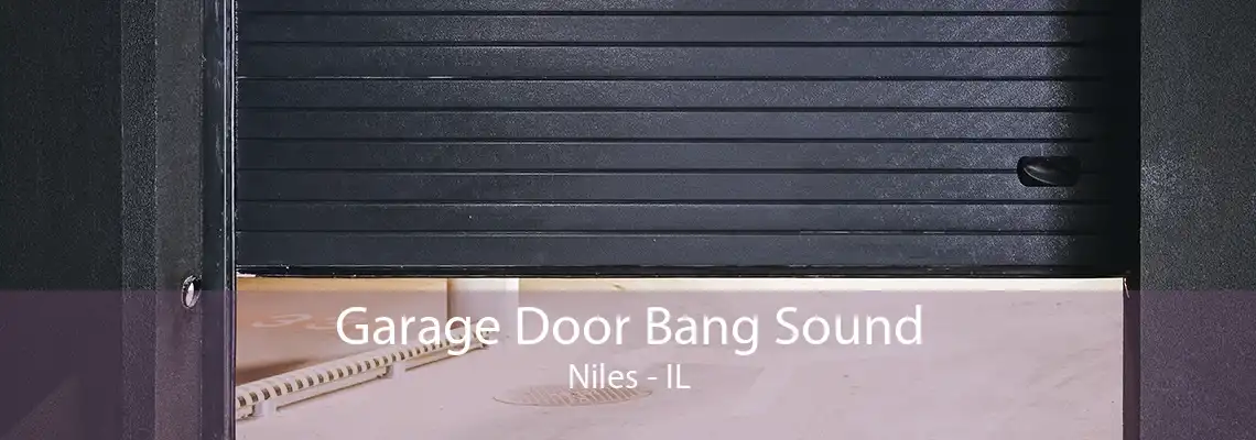 Garage Door Bang Sound Niles - IL