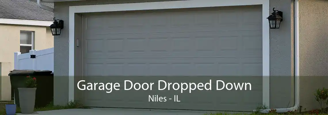 Garage Door Dropped Down Niles - IL