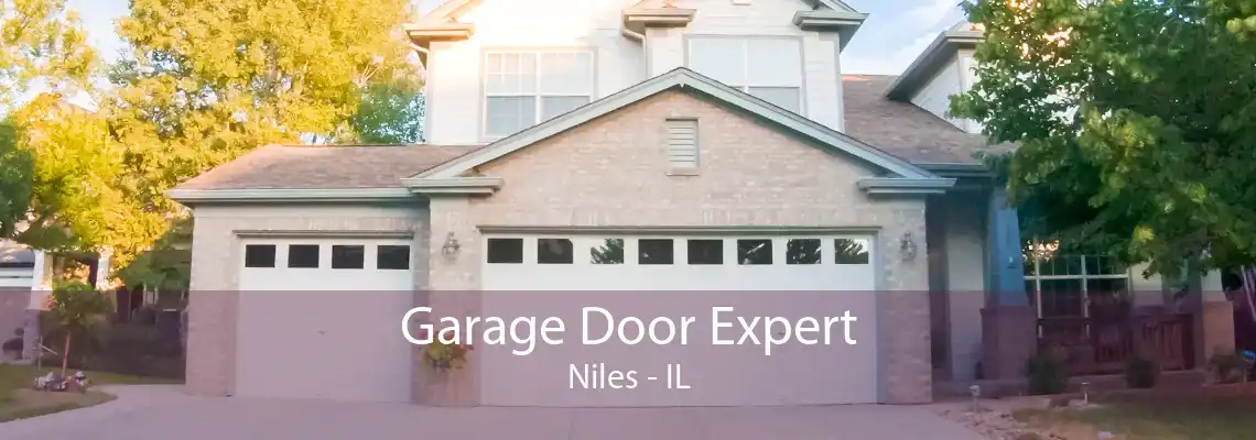 Garage Door Expert Niles - IL