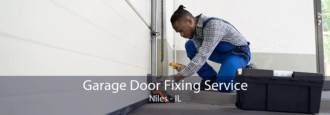 Garage Door Fixing Service Niles - IL