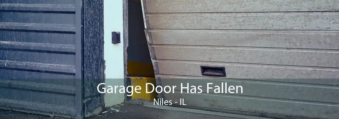 Garage Door Has Fallen Niles - IL