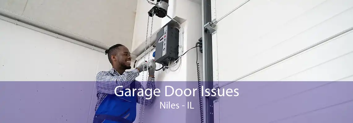 Garage Door Issues Niles - IL