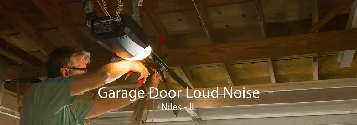 Garage Door Loud Noise Niles - IL