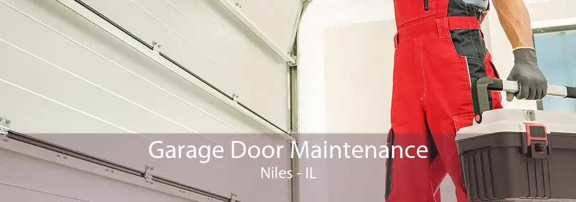 Garage Door Maintenance Niles - IL