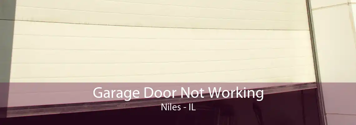 Garage Door Not Working Niles - IL