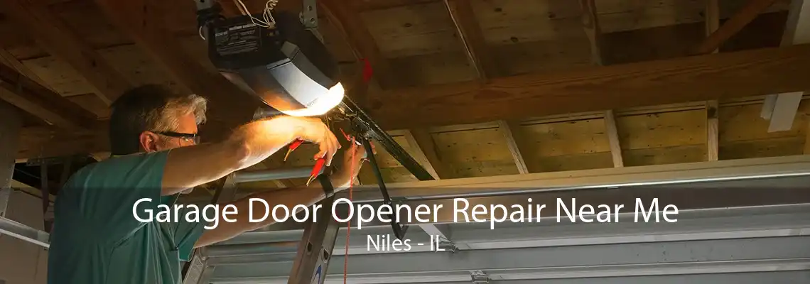 Garage Door Opener Repair Near Me Niles - IL