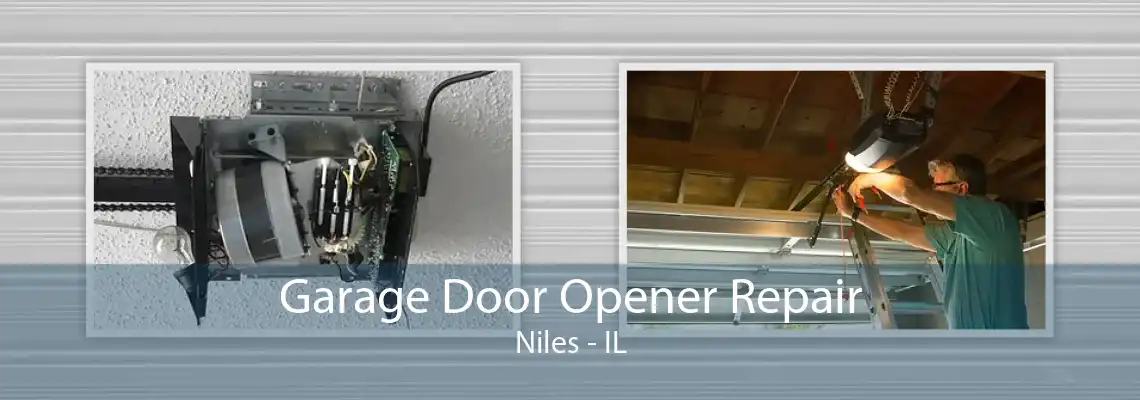 Garage Door Opener Repair Niles - IL