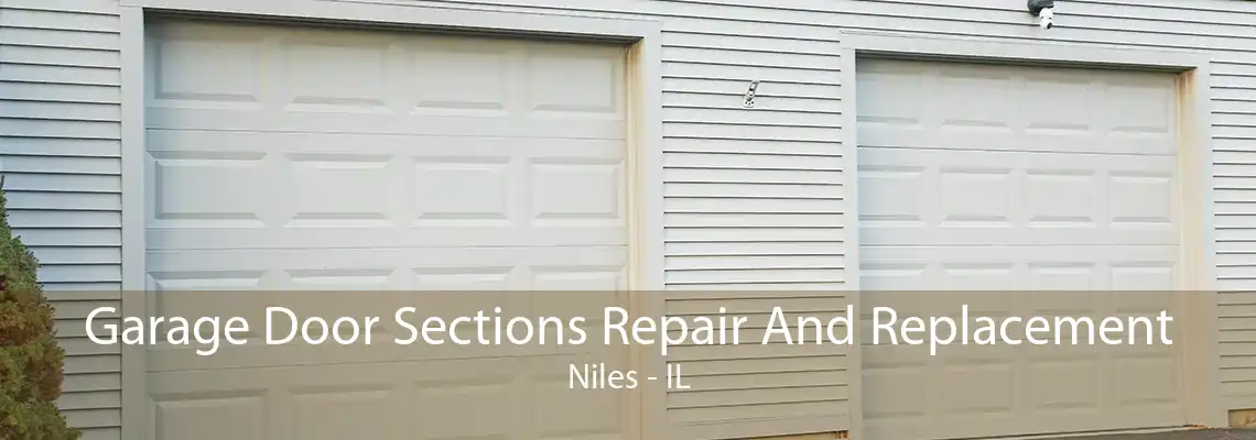 Garage Door Sections Repair And Replacement Niles - IL