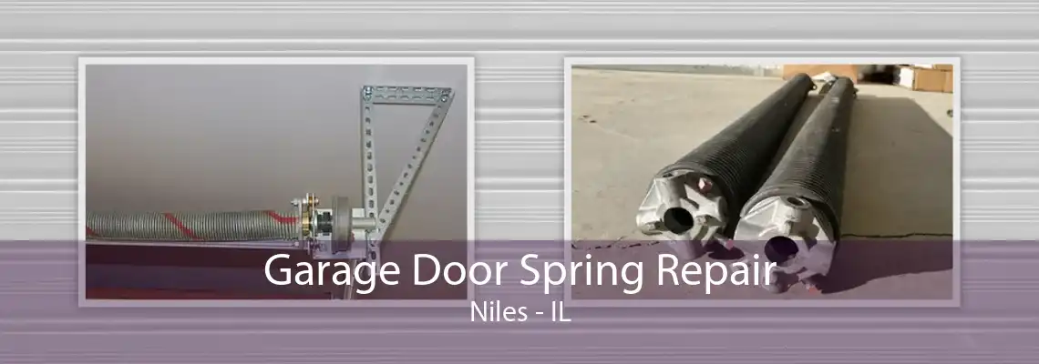 Garage Door Spring Repair Niles - IL