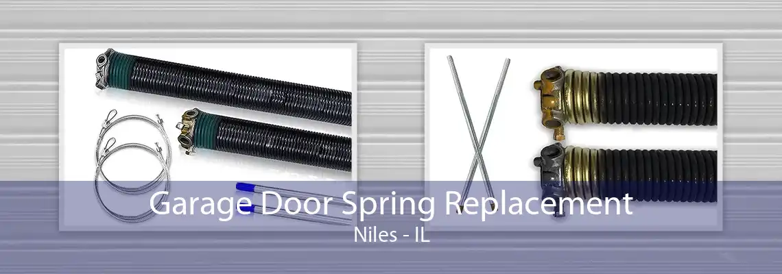 Garage Door Spring Replacement Niles - IL