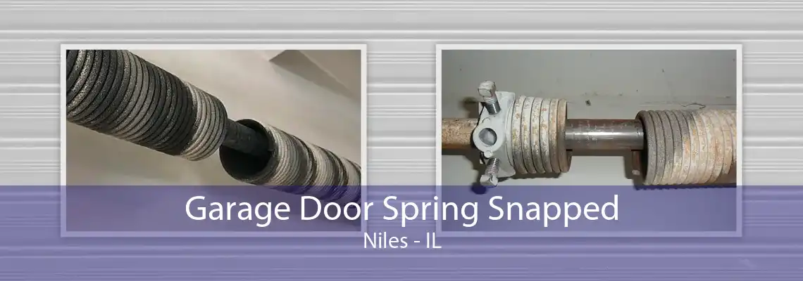 Garage Door Spring Snapped Niles - IL