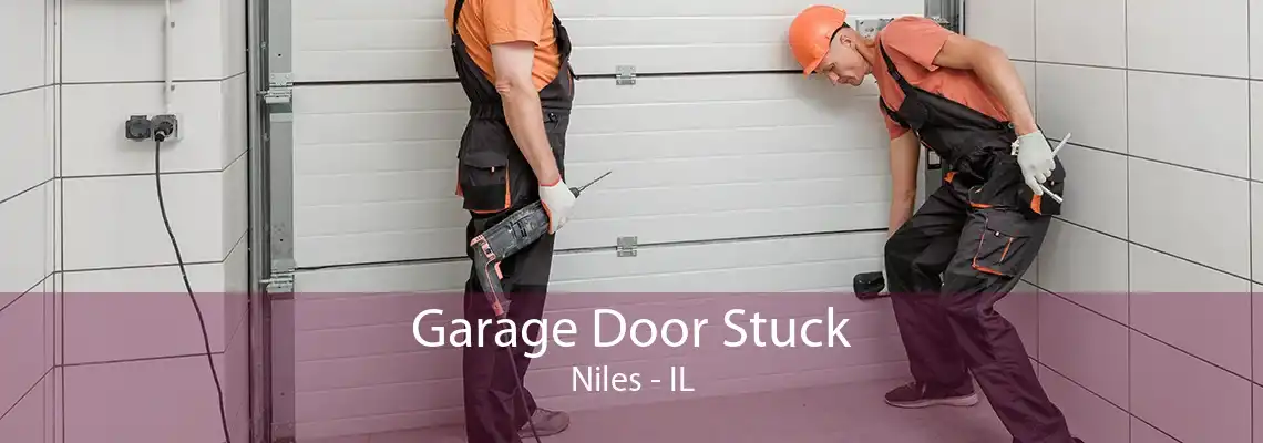 Garage Door Stuck Niles - IL