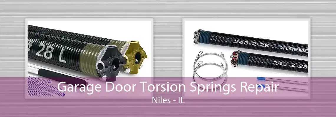 Garage Door Torsion Springs Repair Niles - IL