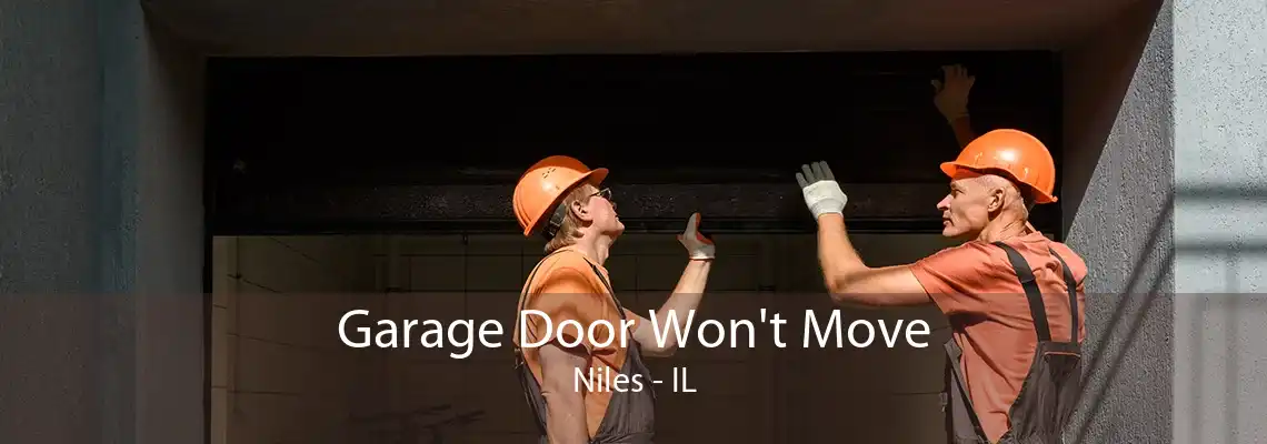 Garage Door Won't Move Niles - IL