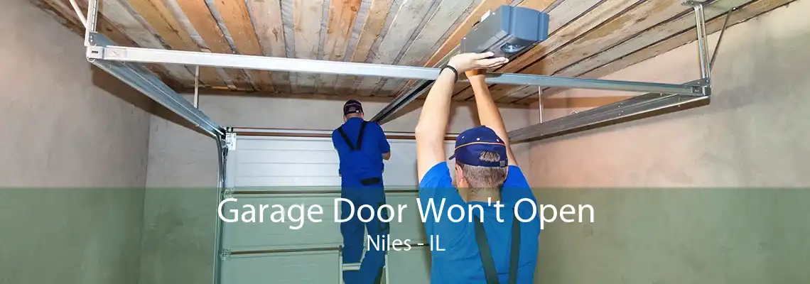 Garage Door Won't Open Niles - IL