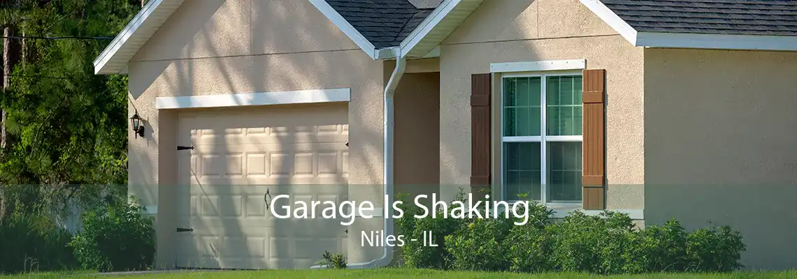 Garage Is Shaking Niles - IL