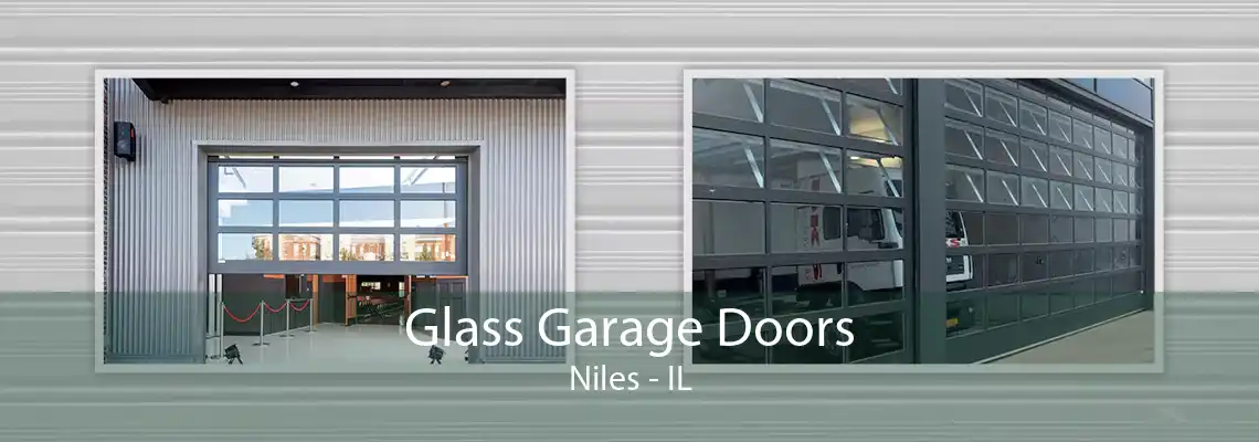 Glass Garage Doors Niles - IL