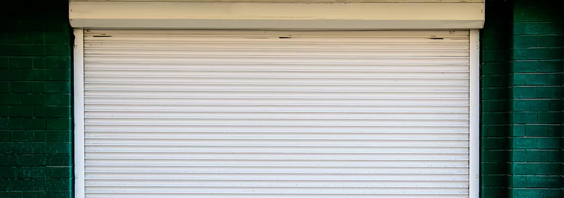 Rolling Steel Door Replacement in Niles, Illinois