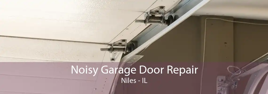 Noisy Garage Door Repair Niles - IL