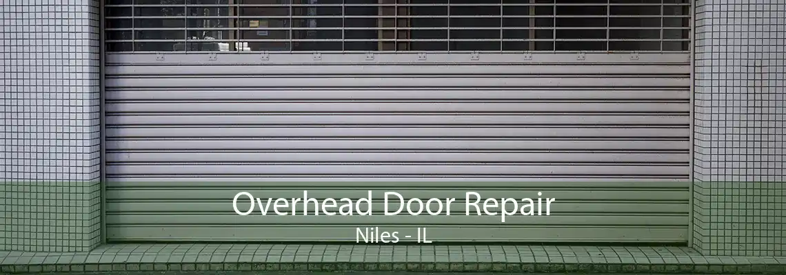 Overhead Door Repair Niles - IL