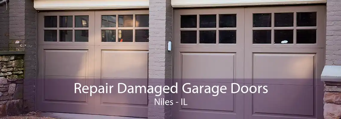 Repair Damaged Garage Doors Niles - IL