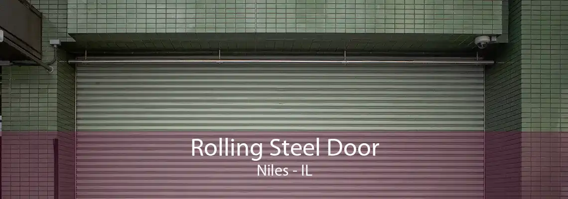 Rolling Steel Door Niles - IL