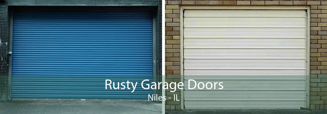 Rusty Garage Doors Niles - IL