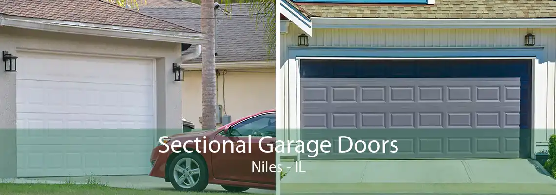 Sectional Garage Doors Niles - IL